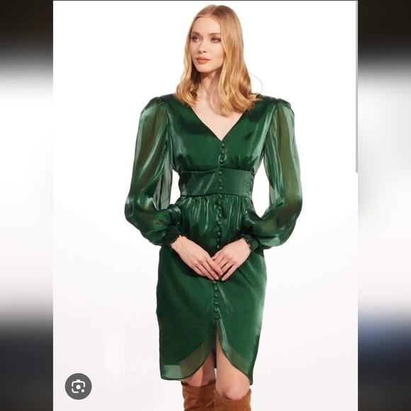 NWT Eva Franco Everly Dress In Pine - Picture 1 of 5